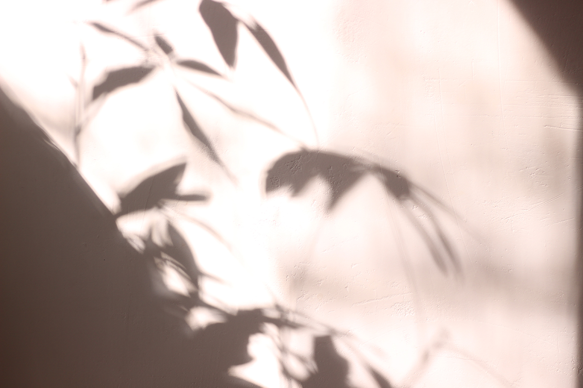 Luz entrando en Freeland